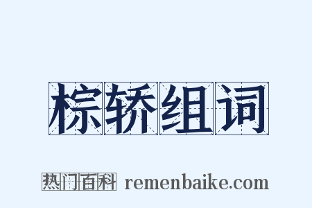 棕轿组词是什么意思的图片